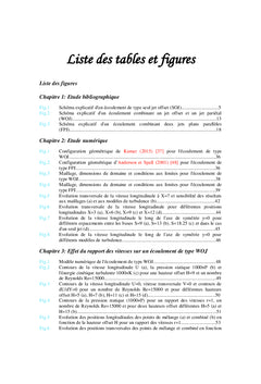 Etude d'un écoulement de type multi-jets