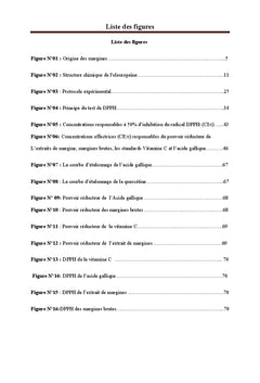 Valorisation Thérapeutique des Margines d'Olive