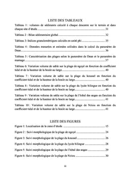 Evaluation de l'erosion cotiere sur la cote camerounaise: cas de KRIBI