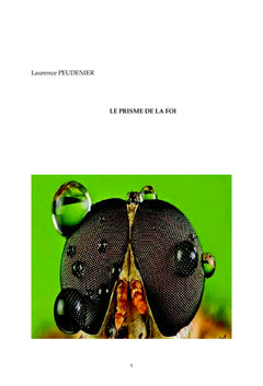 Le prisme de la foi