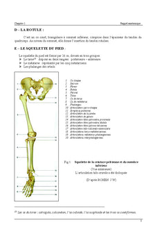 Particularites des allongements des membres inferieurs par ORTHOFIX®