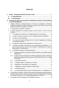 La procedure d'autorisation des cautions, avals et garanties