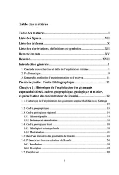 Valorisation des gisements de cuivre et cobalt par flottation