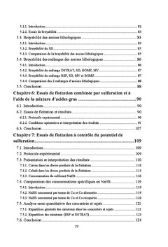 Valorisation des gisements de cuivre et cobalt par flottation