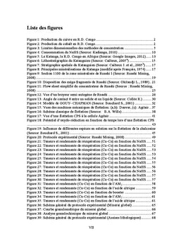 Valorisation des gisements de cuivre et cobalt par flottation