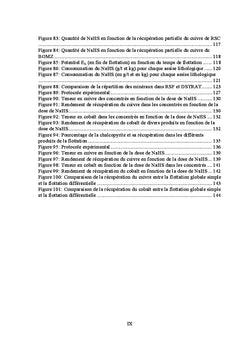 Valorisation des gisements de cuivre et cobalt par flottation