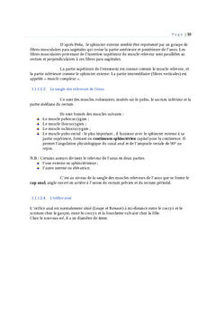 Profil epidémiologique des malformations anorectales en MBUJIMAYI