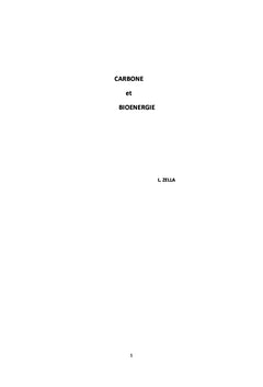 Carbone et bioenergie