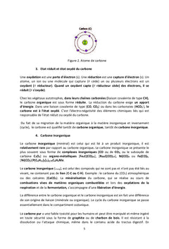 Carbone et bioenergie