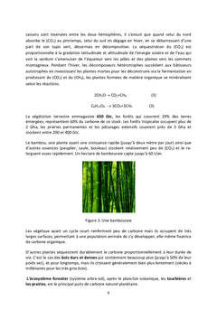 Carbone et bioenergie