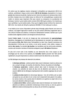 Carbone et bioenergie
