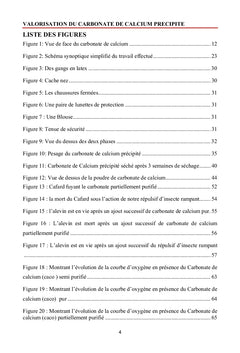 Valorisation du carbonate de calcium precipite