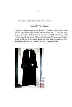 Droit doctrinal et jurisprudentiel sur le droit d'asile
