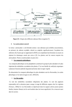 Caracterisation de l'Huile Essentielle du clou de girofle