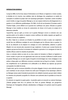 Les Noirs de Belgique