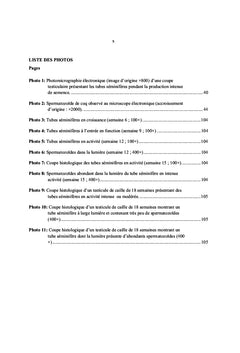 L'elevage de la caille en Afrique subsaharienne