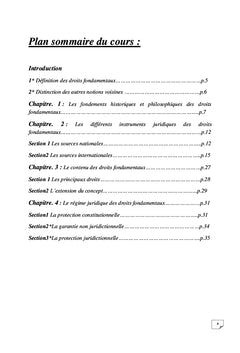 L'essentiel des droits fondamentaux