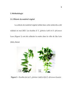 Huiles essentielles et nanoémulsions