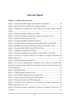 Fibres Microstructurees FMAS compensatrices de dispersion chromatique