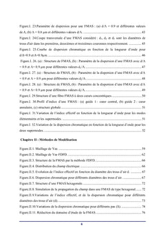 Fibres Microstructurees FMAS compensatrices de dispersion chromatique