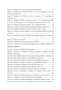 Fibres Microstructurees FMAS compensatrices de dispersion chromatique