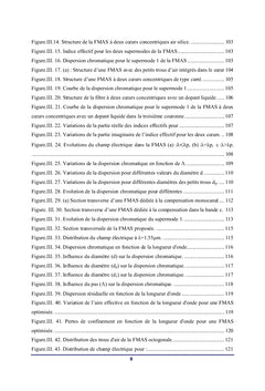 Fibres Microstructurees FMAS compensatrices de dispersion chromatique