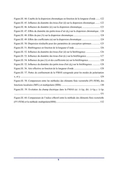 Fibres Microstructurees FMAS compensatrices de dispersion chromatique