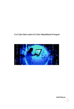 La Cyber lutte contre le Cyber blanchiment d'argent