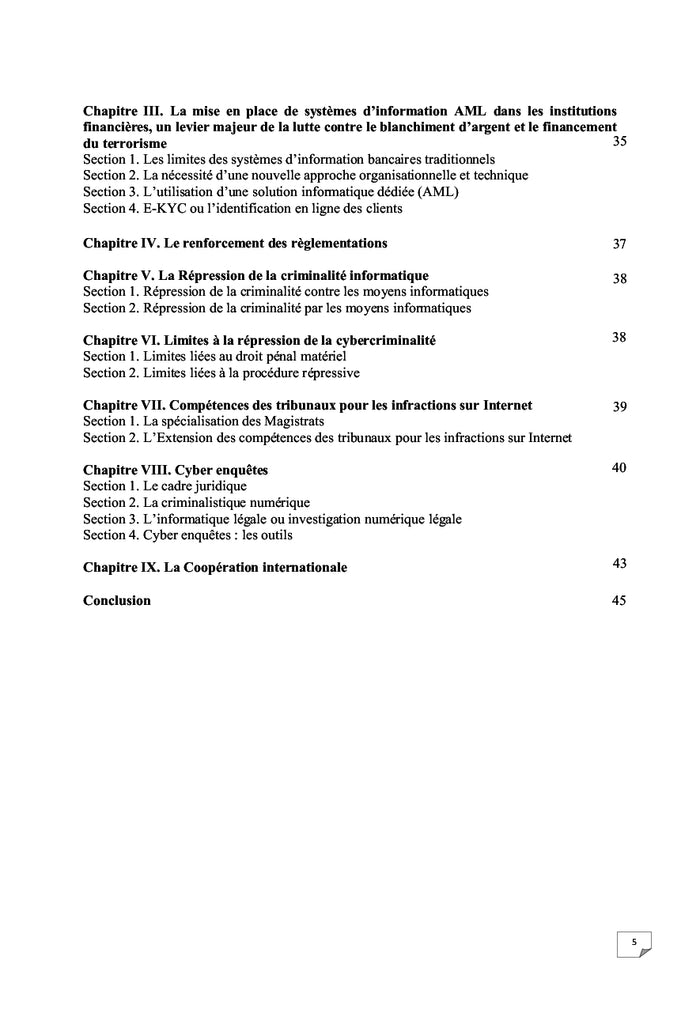 La Cyber lutte contre le Cyber blanchiment d'argent