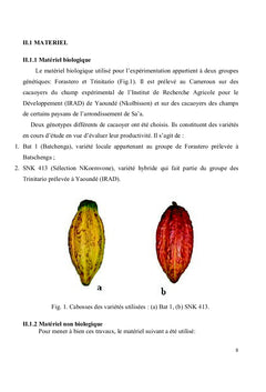 Rendement et rentabilité de deux variétés de cacaoyers