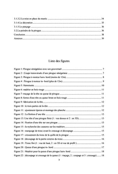 Manuel technique pour la construction des pirogues senegalaises