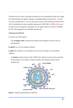 Évaluation du succès thérapeutique antirétroviral chez les adolescents