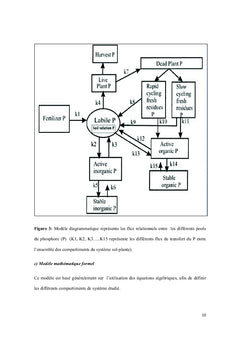 Modélisation des transferts