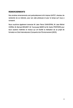 Extraterritorialité et gestion de déchets