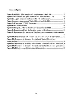 Profil de résistance d'Escherichia coli au LRM de Bamako