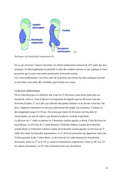 Techniques ostéopathiques pleurales et pulmonaires sur l'asthmatique