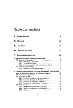 Étude numérique de quelques problEmes issus de la mécanique des fluide