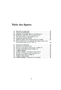 Étude numérique de quelques problEmes issus de la mécanique des fluide