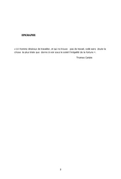 La gestion dans un univers incertain