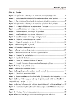 Immobilisation de l'invertase extraite de la levure boulangEre