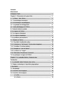 Contribution à l'etude biologique de prlatoria oleae
