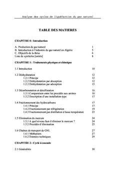 Analyse des cycles de liquéfaction du gaz naturel
