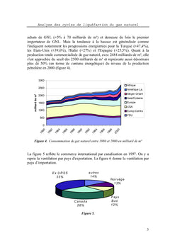 Analyse des cycles de liquéfaction du gaz naturel
