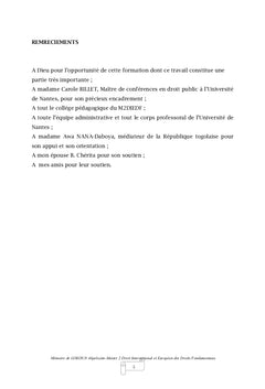 La protection des droits de l'homme au Togo par le médiateur de la République