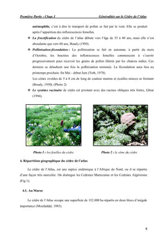 La lutte biologique dans la Cédraie du Parc National de Theniet El Had