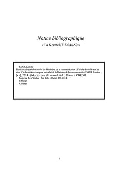 Etude du dispositif de veille du Ministère de la communication