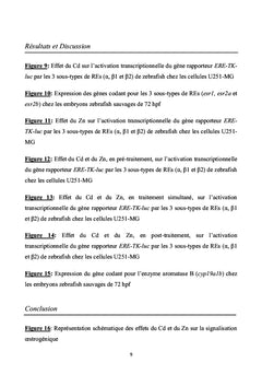 Interactions Cadmium-Zinc Au Niveau De La Fonction Reproductrice