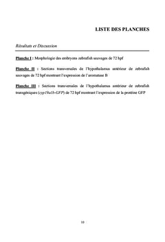 Interactions Cadmium-Zinc Au Niveau De La Fonction Reproductrice