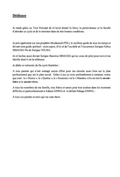 Analyse des Stratégies de conduite du changement