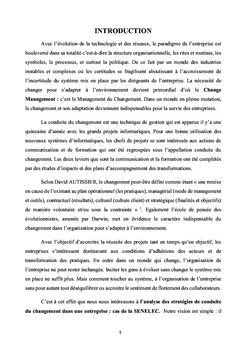 Analyse des Stratégies de conduite du changement